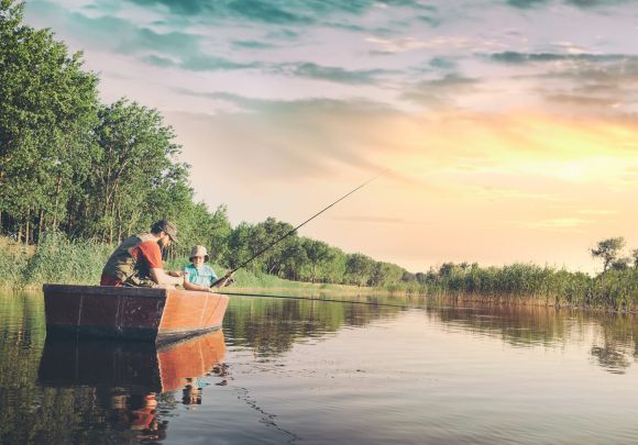 Membership Benefits Free Services